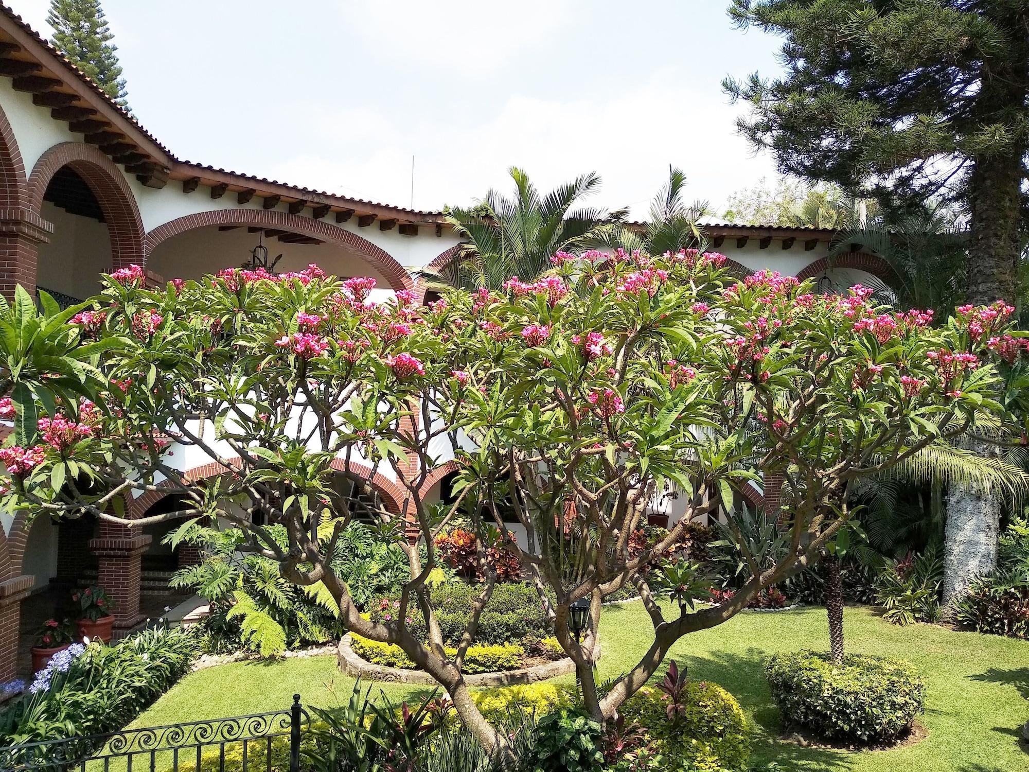 Hotel Vista Hermosa Cuernavaca Eksteriør bilde