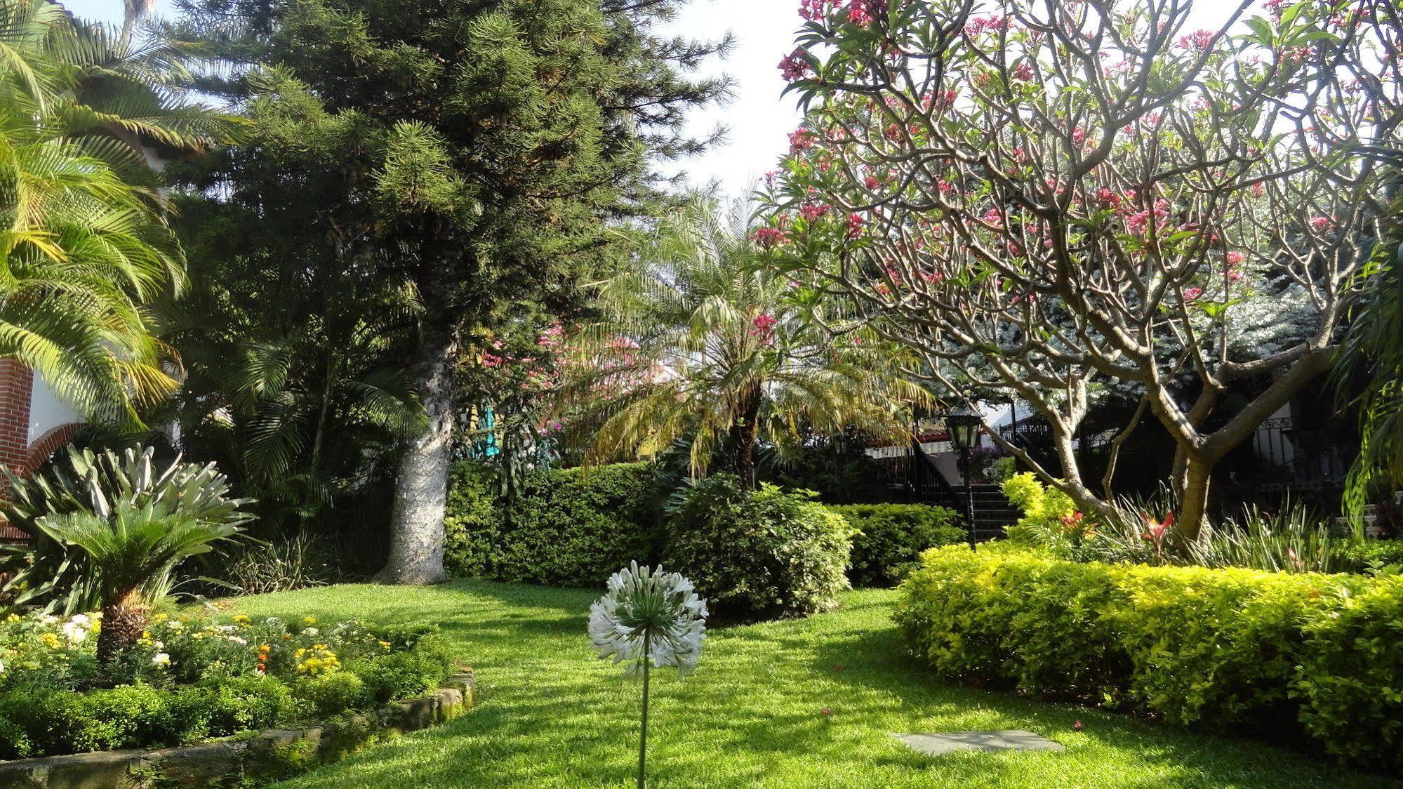 Hotel Vista Hermosa Cuernavaca Eksteriør bilde